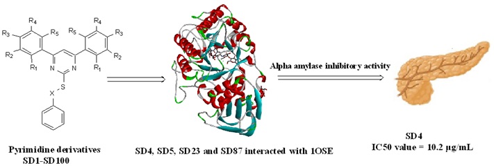 Molecular Docking, Synthesis, In-vitro Alpha Amylase and Antibacterial Activities of Newer Generation Pyrimidine Derivatives 