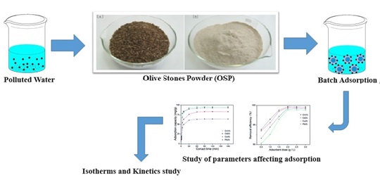 Adsorption of Cd(II) onto Olive Stones Powder Biosorbent: Isotherms and Kinetic Studies 